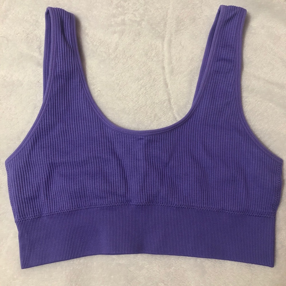 Aerie Purple Bikini Top